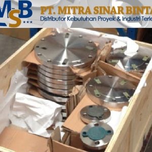 Jual Blind Flange JIS 10K SS304/304L